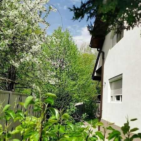 Casa File De Poveste Târgu Jiu Eksteriør billede
