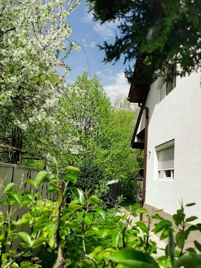 Casa File De Poveste Târgu Jiu Eksteriør billede