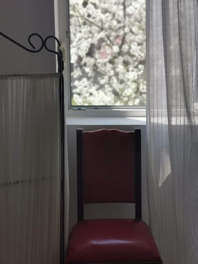 Casa File De Poveste Târgu Jiu Eksteriør billede