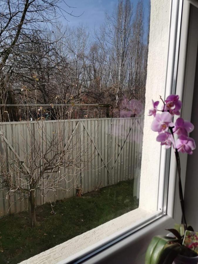 Casa File De Poveste Târgu Jiu Eksteriør billede