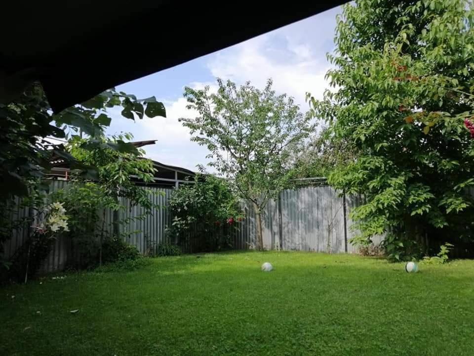 Casa File De Poveste Târgu Jiu Eksteriør billede
