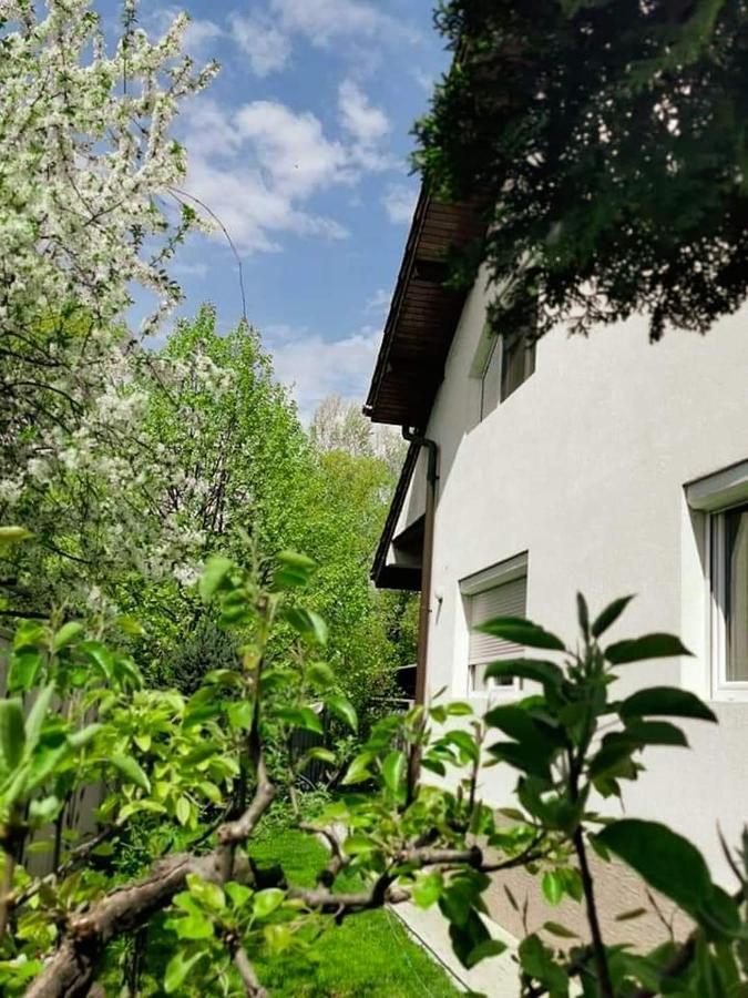 Casa File De Poveste Târgu Jiu Eksteriør billede