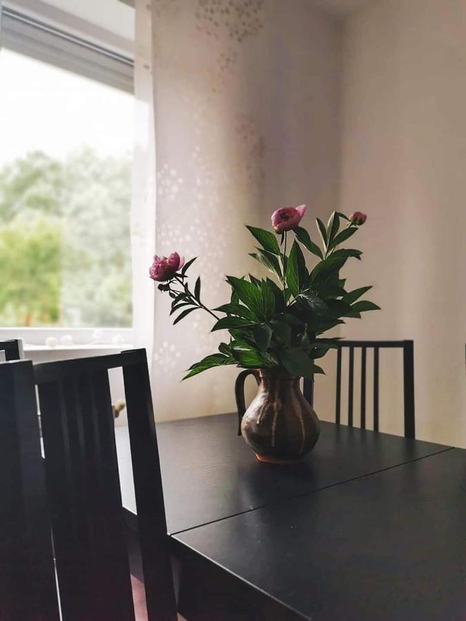 Casa File De Poveste Târgu Jiu Eksteriør billede